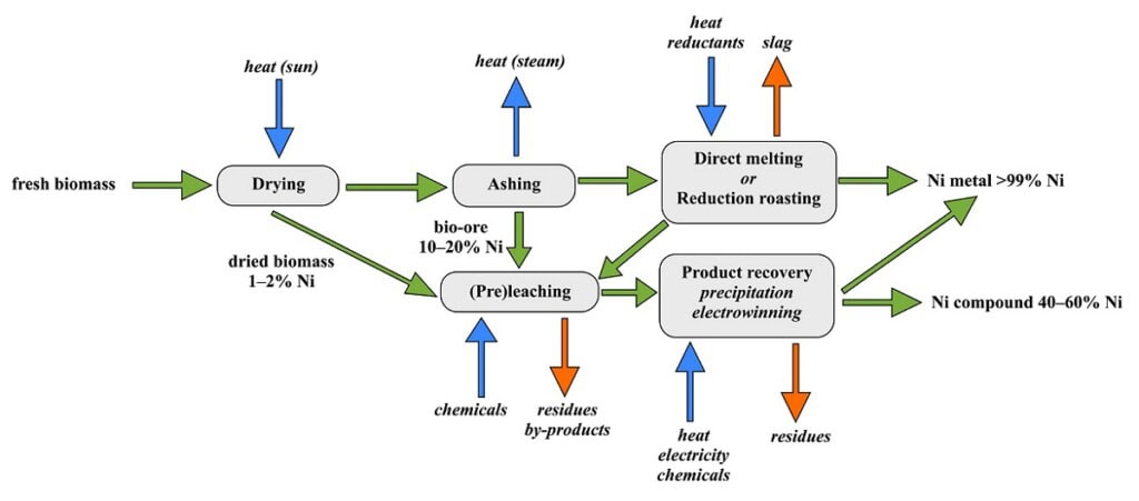 How to grow metals using plants 3 van der ent et al 2015