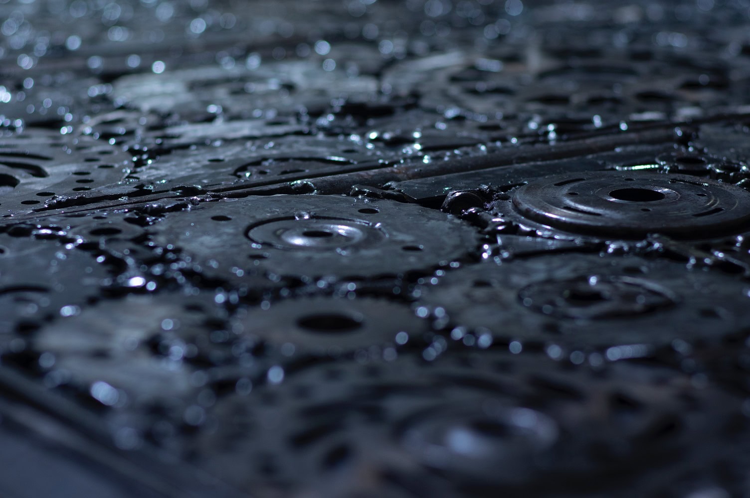 elena mozhvilo 3PFwUARKoYU unsplash