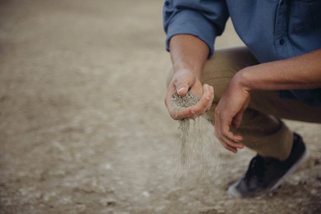 Co-creating value through better company & community engagement 6 forrest cavale p0RR 3Xc988 unsplash