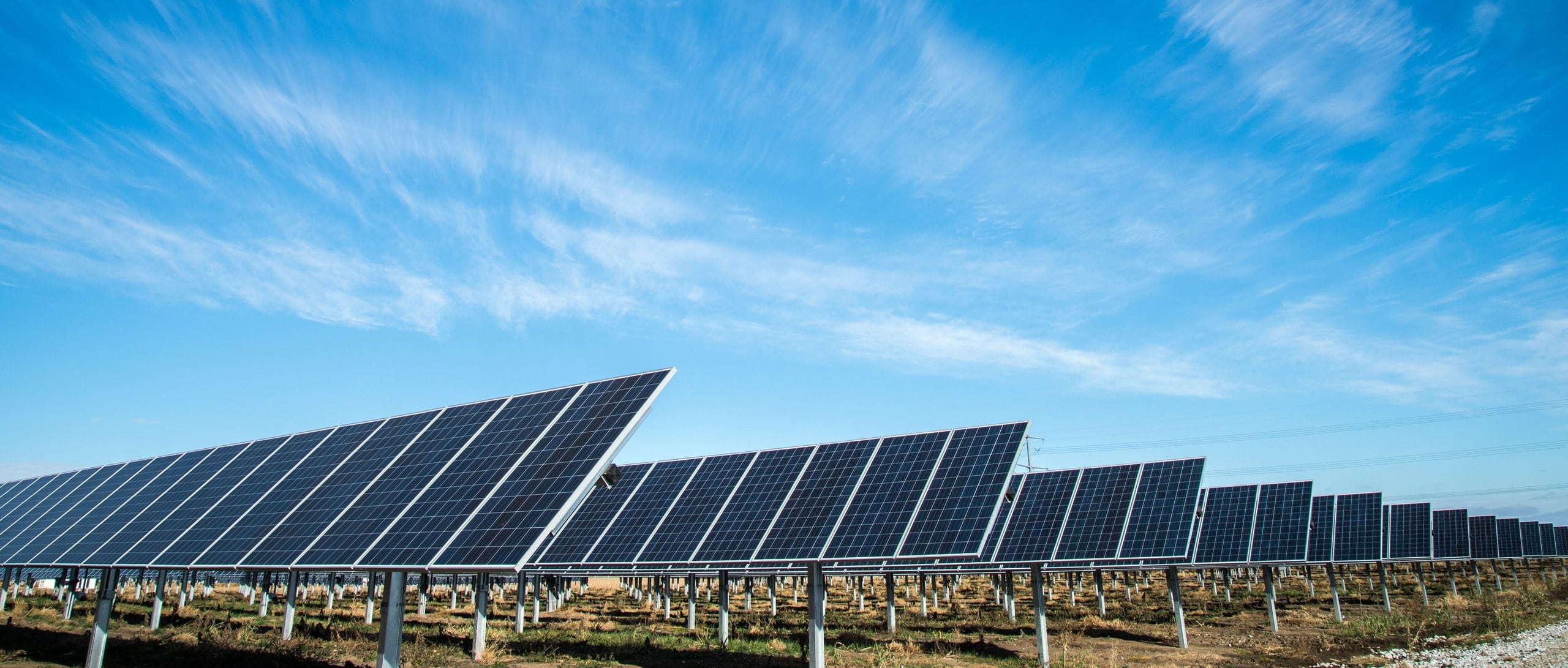 Solar crop