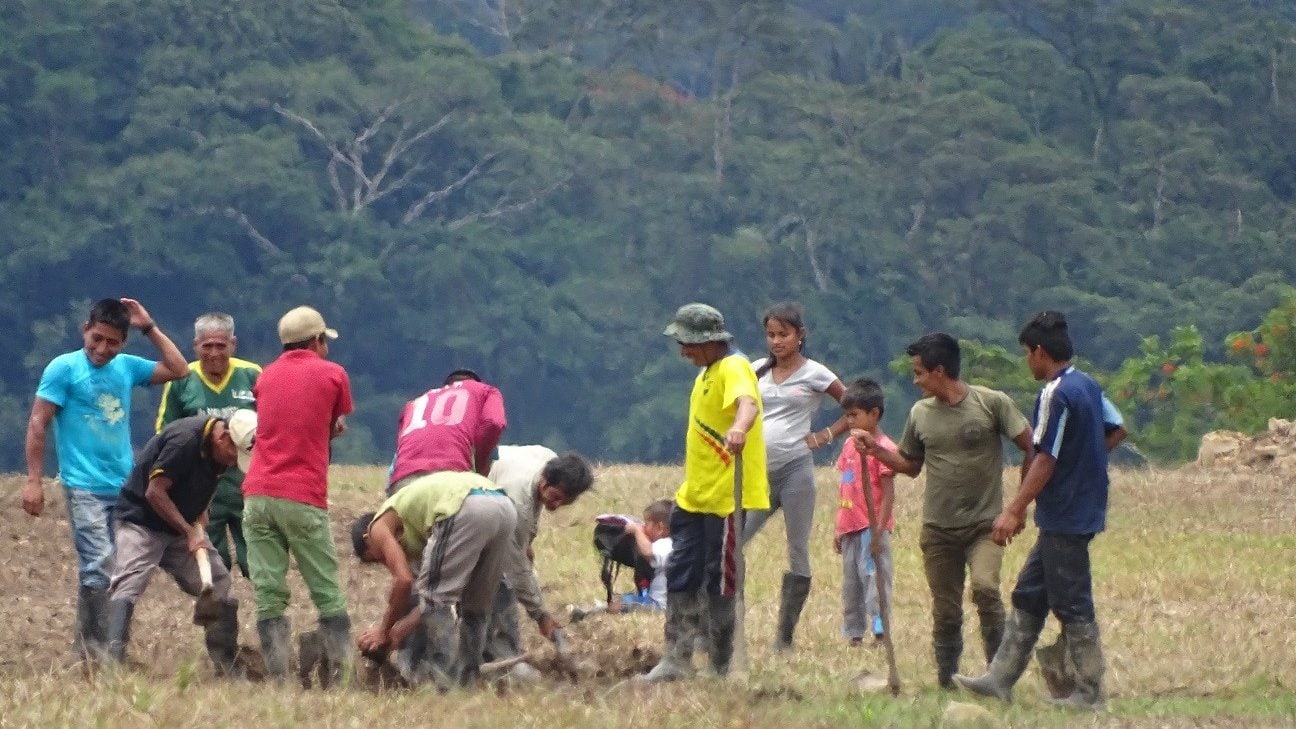 Rethinking local procurement to create true value for communities and mining companies 2 DSC04964 lo edited