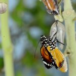 Resource leadership reimagined - episode 7