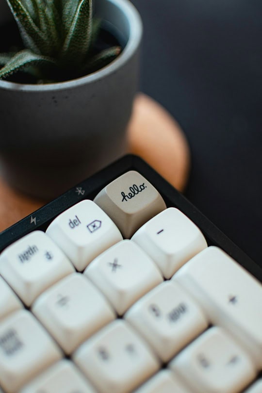 Close-up of a computer keyboard with a potted plant in the background, representing digital marketing and data analysis services.